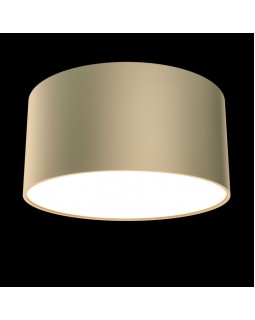 Накладной светильник Maytoni Technical C032CL-L12MG3K-foto2