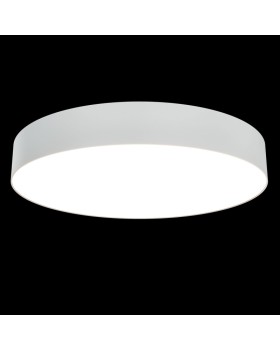 Накладной светильник Maytoni Technical C032CL-L48W3K-foto2