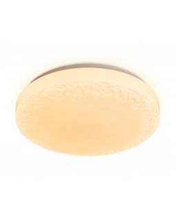 Накладной светильник Ambrella Light FF22-foto2