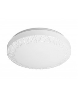 Накладной светильник Ambrella Light FF22-foto4