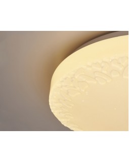 Накладной светильник Ambrella Light FF22-foto5