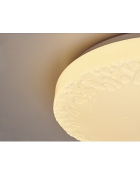 Накладной светильник Ambrella Light FF22-foto5