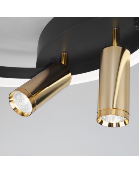 Накладной светильник Eurosvet 90247/3 черный/золото Smart-foto2