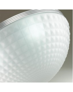 Накладной светильник Odeon Light 4937/4C-foto5
