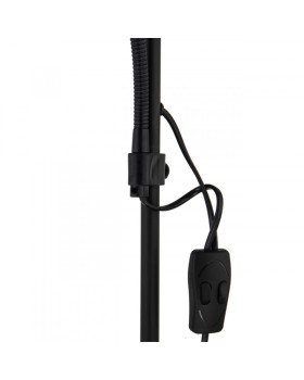 Торшер ARTE Lamp A9569PN-2BK-foto4