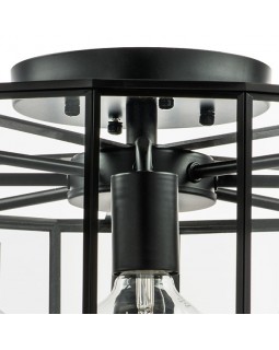 Люстра на штанге Lightstar 798287-foto5