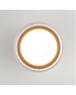 Уличный светильник Elektrostandard Light LED 2107 (35140/H) белый-foto3