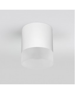 Уличный светильник Elektrostandard Light LED 2107 (35140/H) белый-foto4