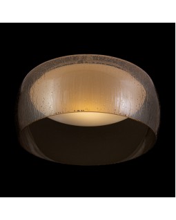 Накладной светильник Maytoni MOD074PL-L16B3K-foto3