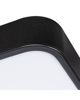 Накладной светильник ARTE Lamp A2669PL-1BK-foto6