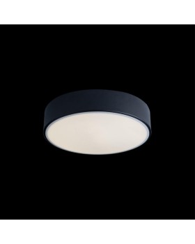 Накладной светильник LOFT IT 10002/12 Black-foto2