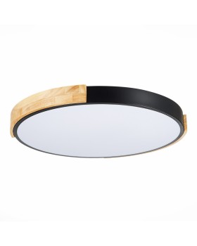 Накладной светильник Evoluce SLE201342-01-foto4