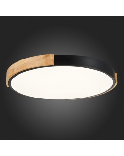 Накладной светильник Evoluce SLE201342-01-foto10