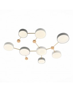 Накладной светильник Evoluce SLE600102-08-foto3