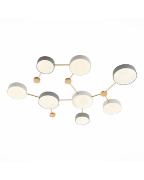 Накладной светильник Evoluce SLE600102-08-foto3