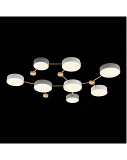 Накладной светильник Evoluce SLE600102-08-foto5