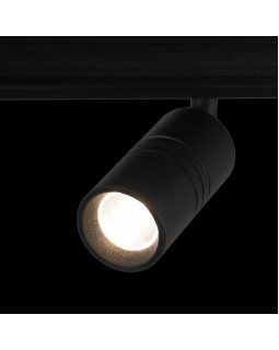 Светильник на шине LOFT IT T105-07-foto6