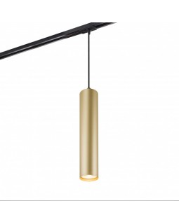 Светильник на шине Denkirs DK6210-BG-foto2