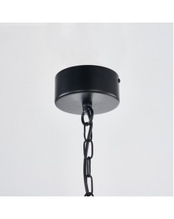 Подвесной светильник Favourite 4009-4P-foto4