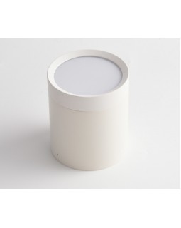 Накладной светильник Maytoni Technical C086CM-GX53-MRD-W-foto2