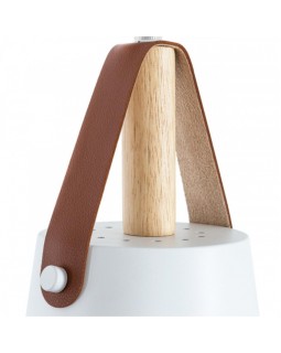 Подвесной светильник ARTE Lamp A7032SP-1WH-foto3