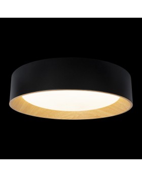 Накладной светильник LOFT IT 10202 Black-foto2