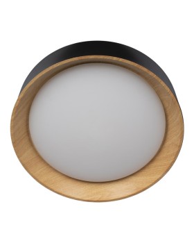 Накладной светильник LOFT IT 10202 Black-foto3