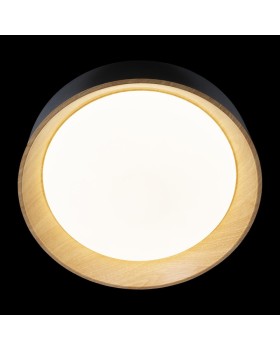 Накладной светильник LOFT IT 10202 Black-foto4