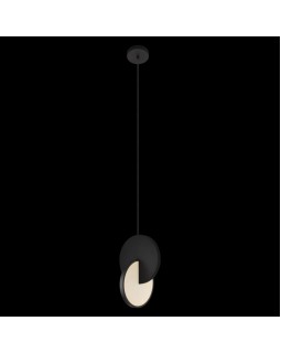 Подвесной светильник LOFT IT 9970BK-foto2