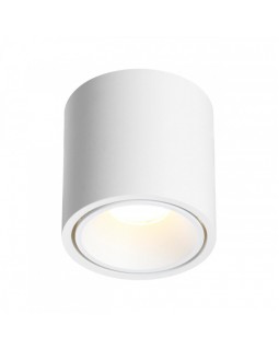 Накладной светильник Odeon Light 6620/10CL-foto4