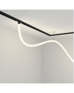 Светильник на шине Maytoni Technical TR101-2-50W4K-B-foto2