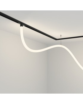 Светильник на шине Maytoni Technical TR101-2-50W4K-B-foto2