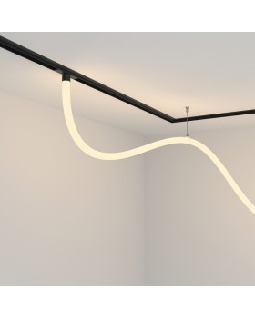 Светильник на шине Maytoni Technical TR101-2-50W3K-B-foto2