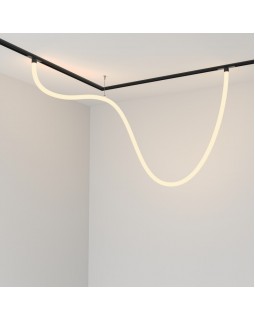 Светильник на шине Maytoni Technical TR101-2-50W3K-B-foto5