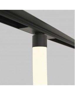 Светильник на шине Maytoni Technical TR101-2-50W3K-B-foto8