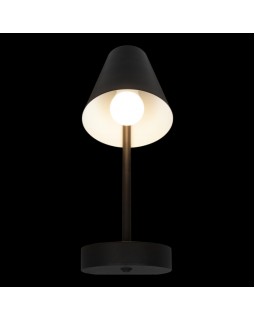 Бра LOFT IT 10216/1W Black-foto2