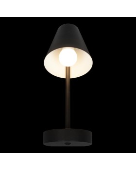 Бра LOFT IT 10216/1W Black-foto2