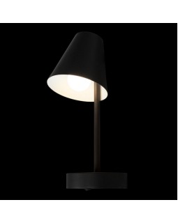 Бра LOFT IT 10216/1W Black-foto6