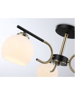 Накладной светильник Ambrella Light TR303311-foto5