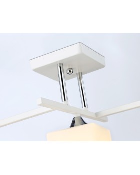 Накладной светильник Ambrella Light TR303113-foto4