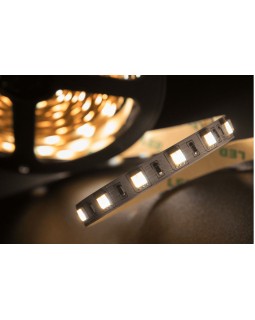 Лента SWG SWG560-24-14.4-WWW-M-foto4