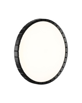 Накладной светильник Sonex 7649/DL-foto3