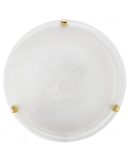 Накладной светильник EGLO 7185-foto2