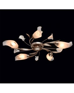 Накладная люстра MW-Light 242016205-foto2
