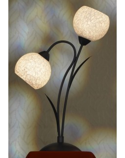 Настольная лампа Lussole LSF-6294-02