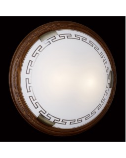 Накладной светильник Sonex 360-foto5