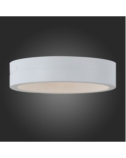 Светильник настенный ST-Luce SL562.501.01-foto2