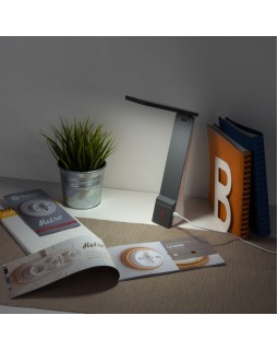 Настольная лампа Elektrostandard Desk белый/серый (TL90450)-foto8