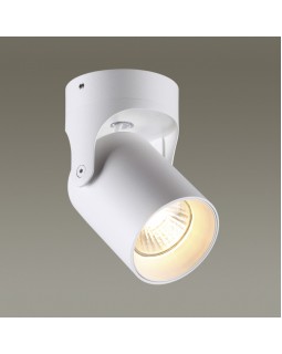 Накладной светильник Odeon Light 3854/1C-foto2
