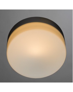 Накладной светильник ARTE Lamp A3211PL-1SI-foto2